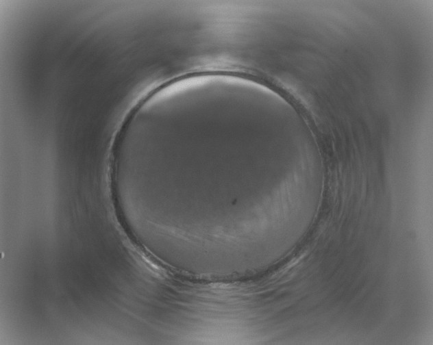 X0000069811463200606091822