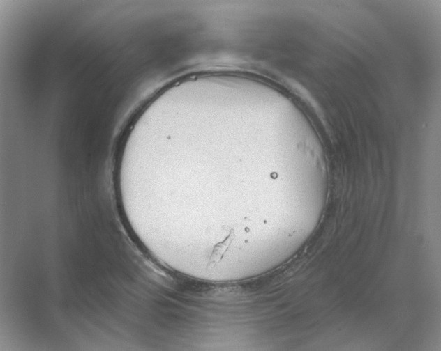 X0000069811464200606091822