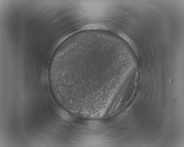 X0000069811465200606091822