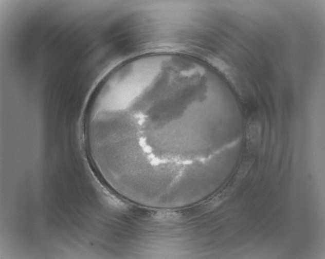 X0000069811466200606091822