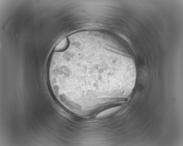 X0000069811467200606091822