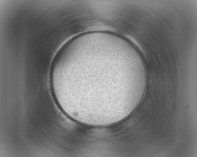 X0000069811468200606091822