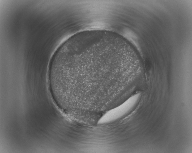 X0000069811469200606091822