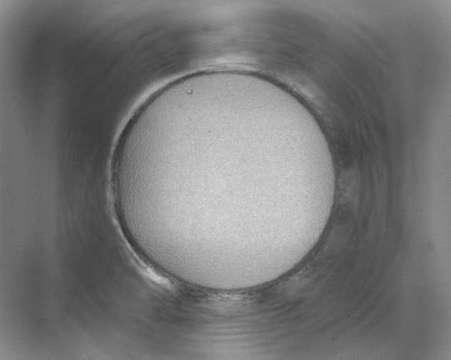 X0000069811470200606091822