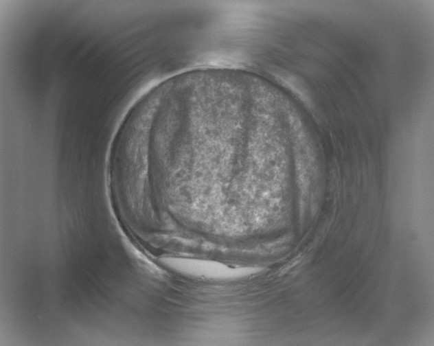 X0000069811471200606091822