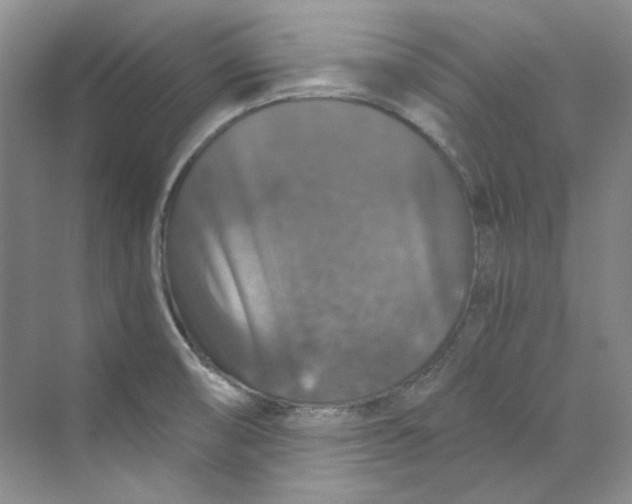 X0000069811474200606091822