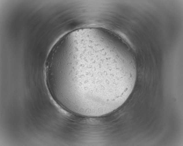 X0000069811476200606091822