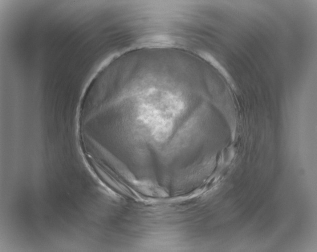 X0000069811477200606091822