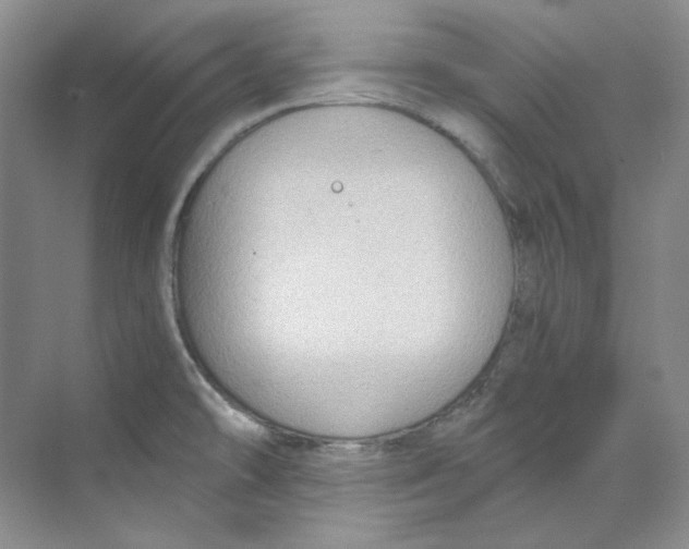 X0000069811478200606091822