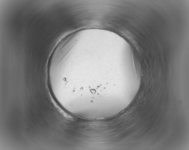 X0000069811479200606091822