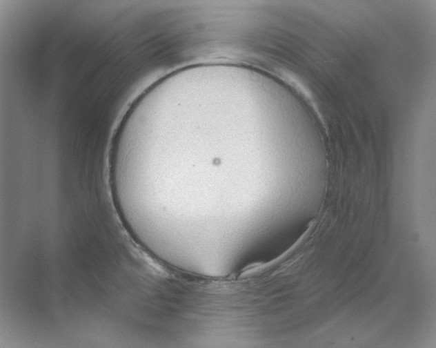 X0000069811480200606091822