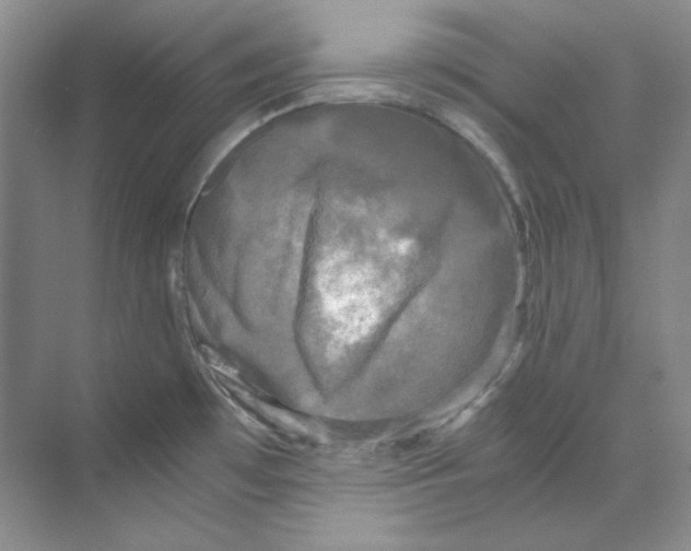 X0000069811481200606091822