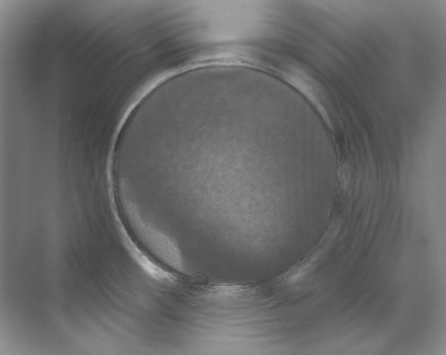 X0000069811482200606091822