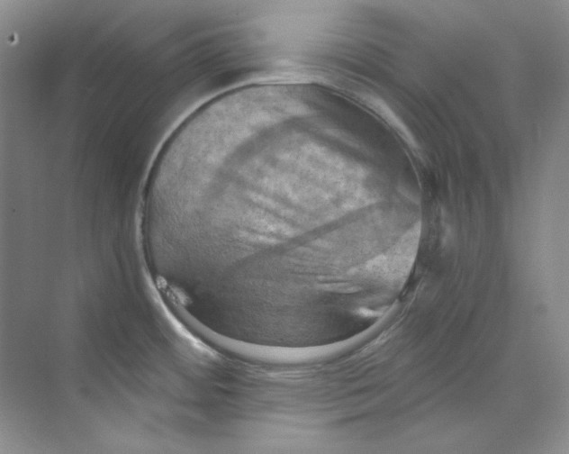 X0000069811484200606091822