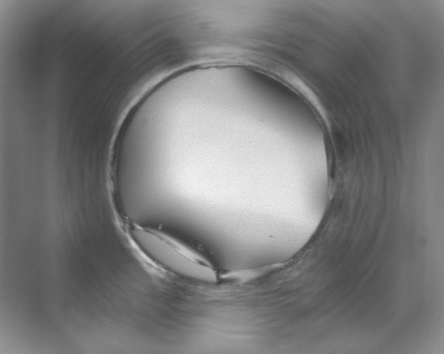 X0000069811485200606091822