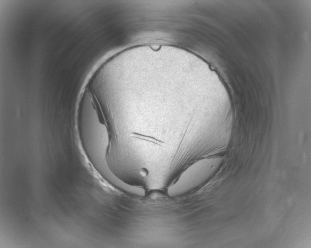 X0000069811488200606091822