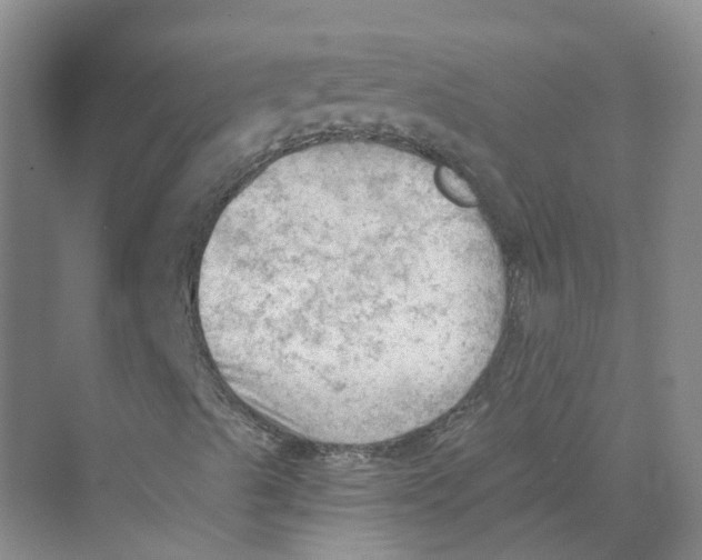 X0000069811489200606091821