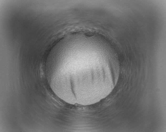 X0000069811490200606091821