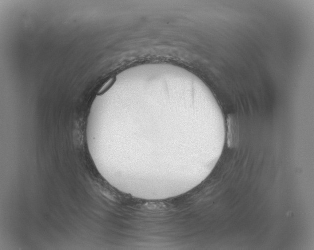 X0000069811491200606091821