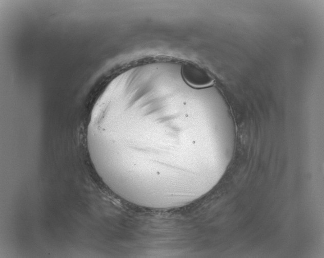 X0000069811495200606091821