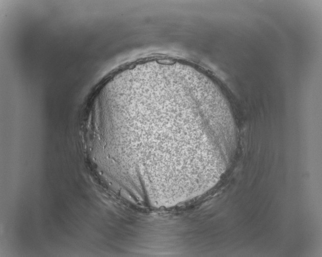 X0000069811496200606091821