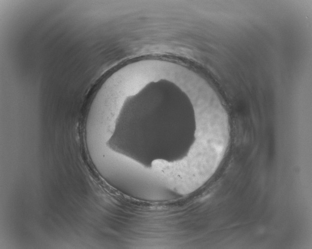 X0000069811497200606091821