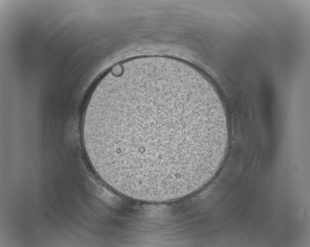 X0000069811498200606091821