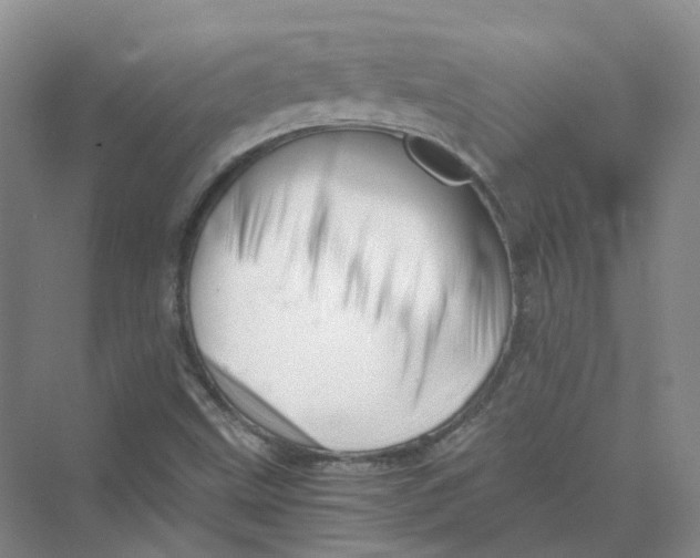 X0000069811499200606091821