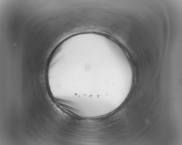 X0000069811500200606091821