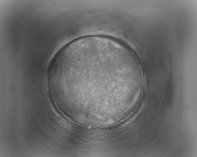 X0000069811501200606091821