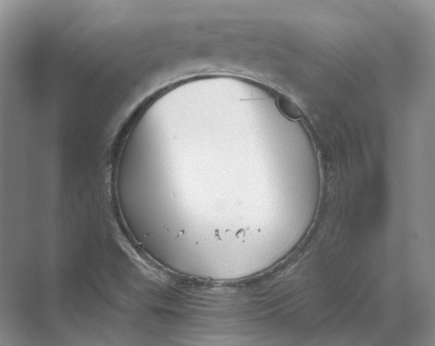 X0000069811503200606091821