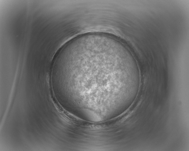 X0000069811505200606091821