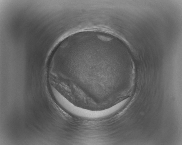 X0000069811506200606091821