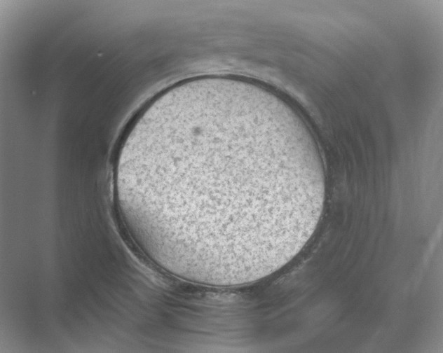 X0000069811509200606091821