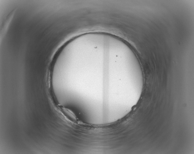 X0000069811510200606091821