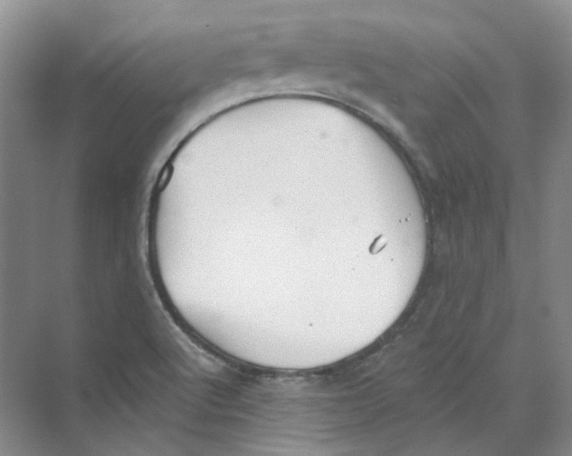 X0000069811512200606091821