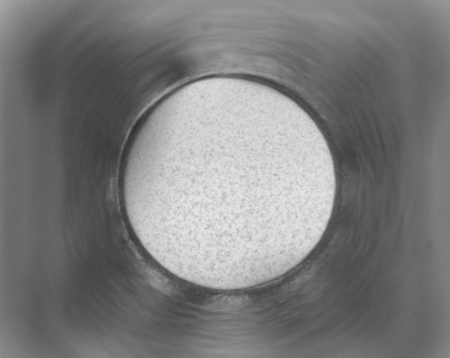 X0000069811513200606091821