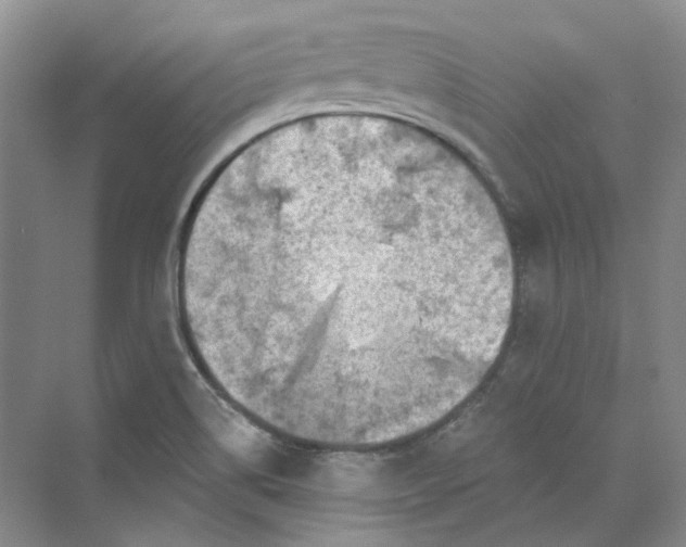 X0000069811514200606091821