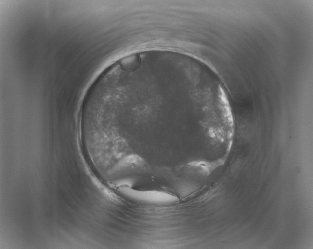 X0000069811515200606091821