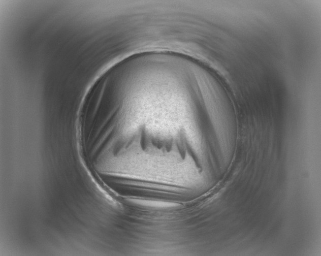 X0000069811517200606091821