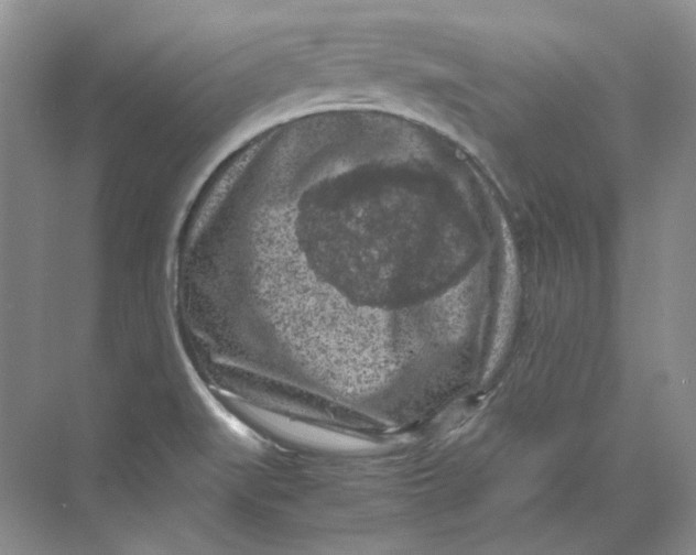 X0000069811519200606091821