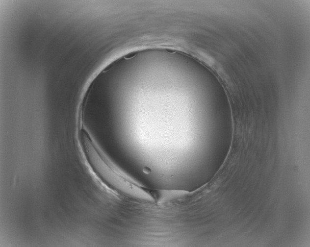 X0000069811520200606091821