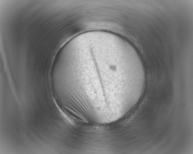 X0000069811521200606091821