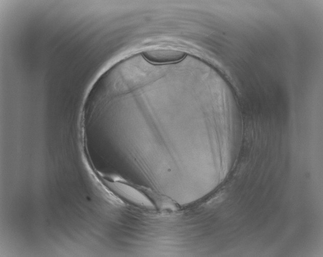 X0000069811522200606091821