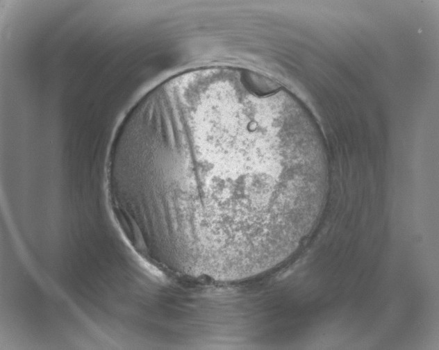 X0000069811525200606091822