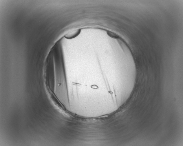 X0000069811526200606091822