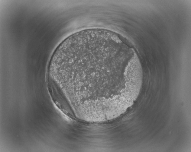 X0000069811527200606091822