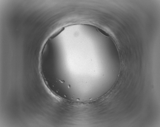 X0000069811528200606091822