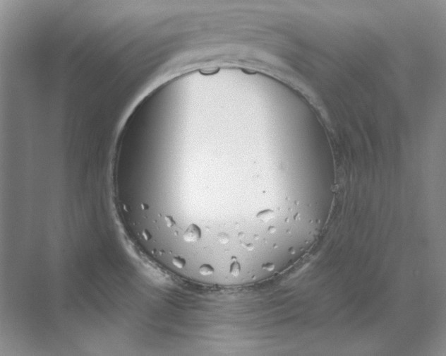 X0000069811530200606091822