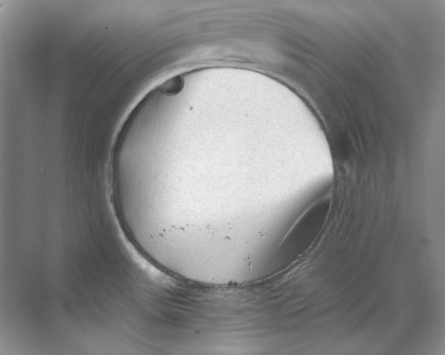 X0000069811531200606091822